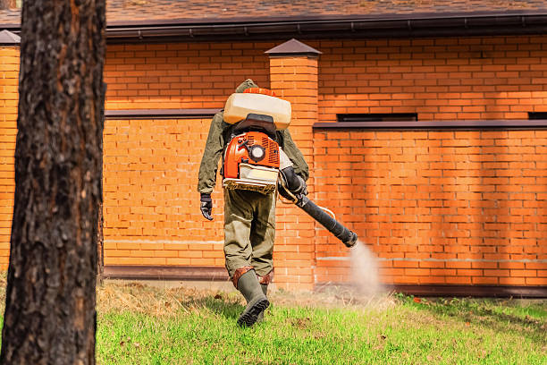 Trusted Termite Control service in Hauula, HI - Nex Pest Control